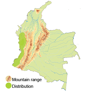 map-colombia-choco-toucan