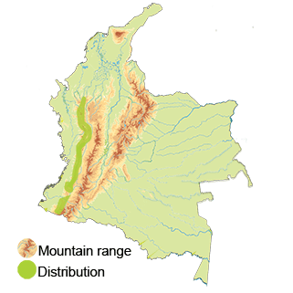 map-colombia-cloudforest-pygmy-owl_29e05298-df34-4250-b013-3dd2de6711f5
