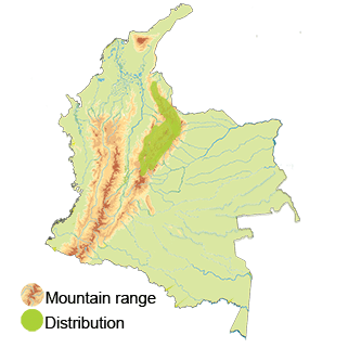 map-colombia-coppery-bellied-puffleg
