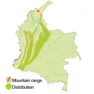 map-colombia-golden-headed-quetzal