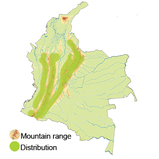 map-colombia-gray-hooded-bush-tanager