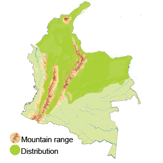 map-colombia-gray-seedeater