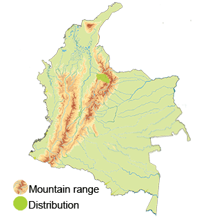 map-colombia-niceforos-wren