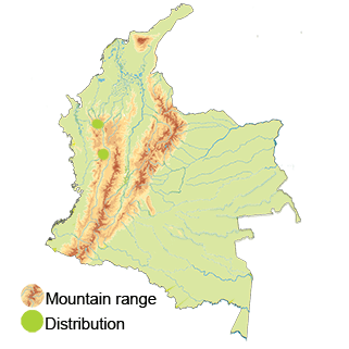 map-colombia-paramillo-tapaculo