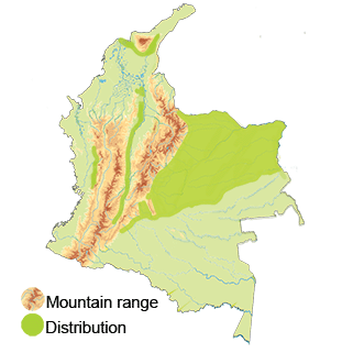map-colombia-plumbeous-seedeater