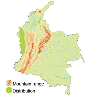 map-colombia-sooty-capped-puffbird