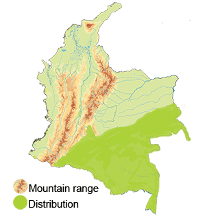 map-colombia-variegated-tinamou