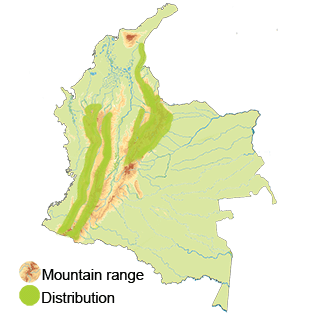 map-colombia-white-throated-screech-owl