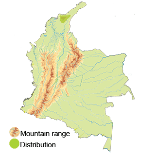 map-colombia-yellow-crowned-whitestart
