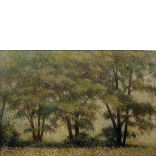 「夏の樹」 '90.08 水彩の地にパステル 34.7×50.7cm