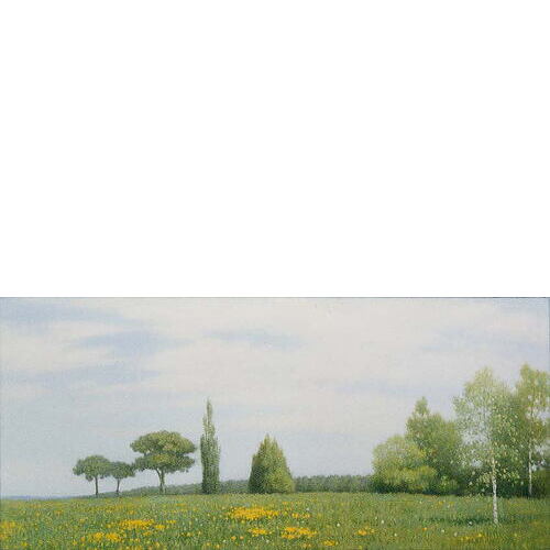 「5月の空」 '94 油彩 34.0×72.5cm