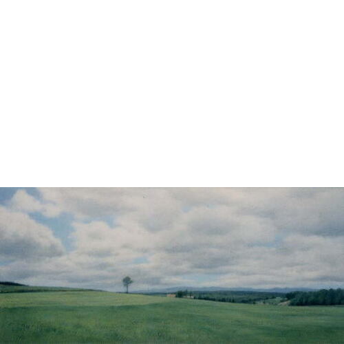 「牧草地からのながめ」 '96 油彩 32.0×69.4cm