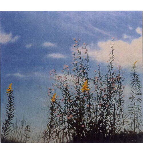 「秋草と雲」 '01.07 油彩 50.7×54.2cm