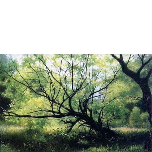 「倒れた柳の木」 '04.07 アクリルガッシュ 32.4×48.9cm