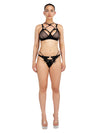 gid://shopify/Metaobject/77721600161