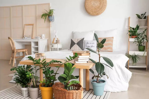 Ideas para la decoración de dormitorios con plantas de interior en apartamentos de Nueva York | Plantas de interior | Todo sobre Planties