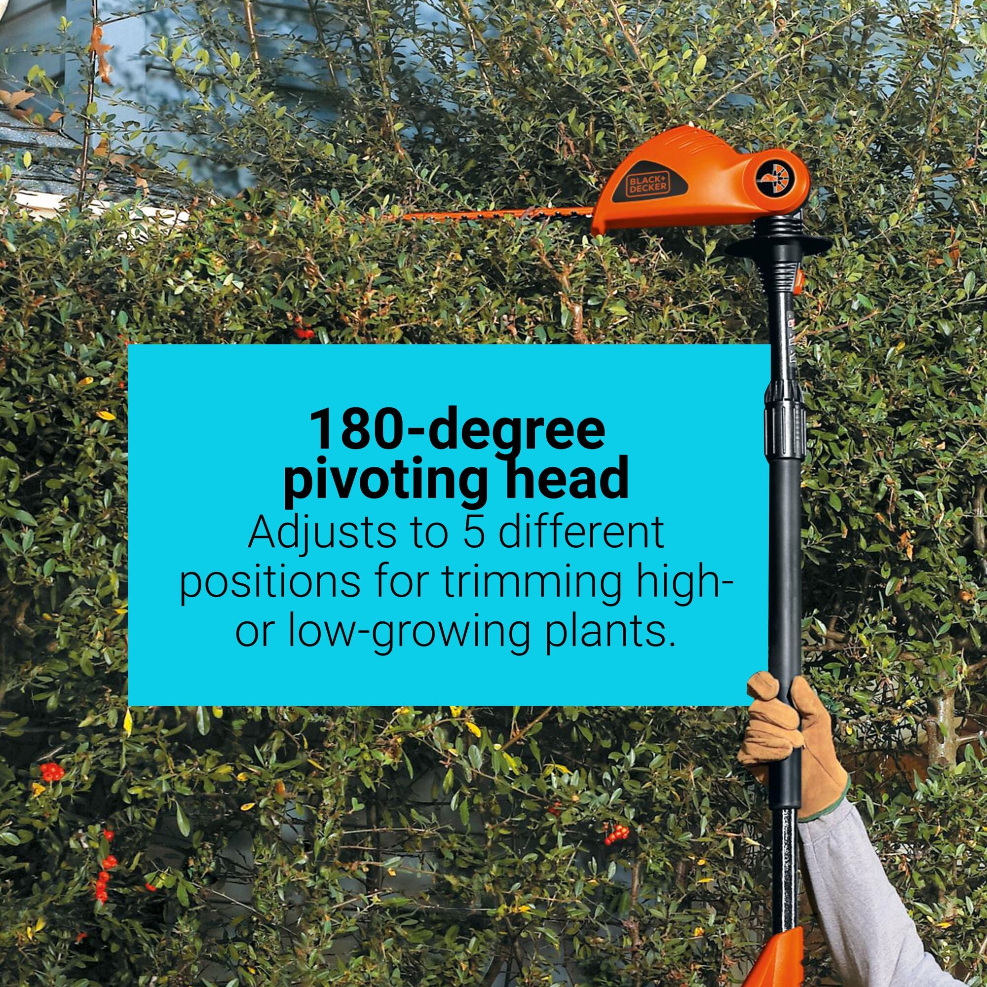 A person cuts high growth with the BLACK+DECKER 20V MAX* POWERCONNECT™ 18-in. Cordless Pole Hedge Trimmer (Tool Only). Lightweight. Weighs only 7.7 lbs for easy maneuvering in hard-to-reach spots.