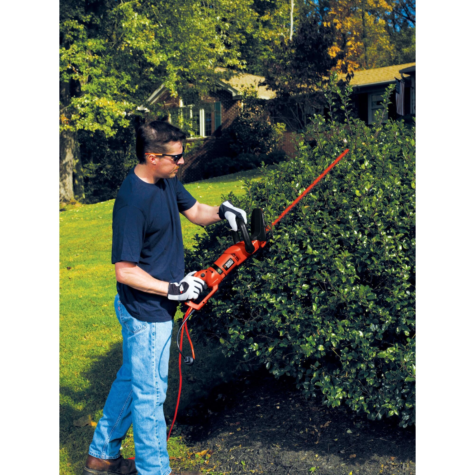 Hedge Trimmer, Rotating Handle, Dual Blade Action Blades, 3.3-Amp