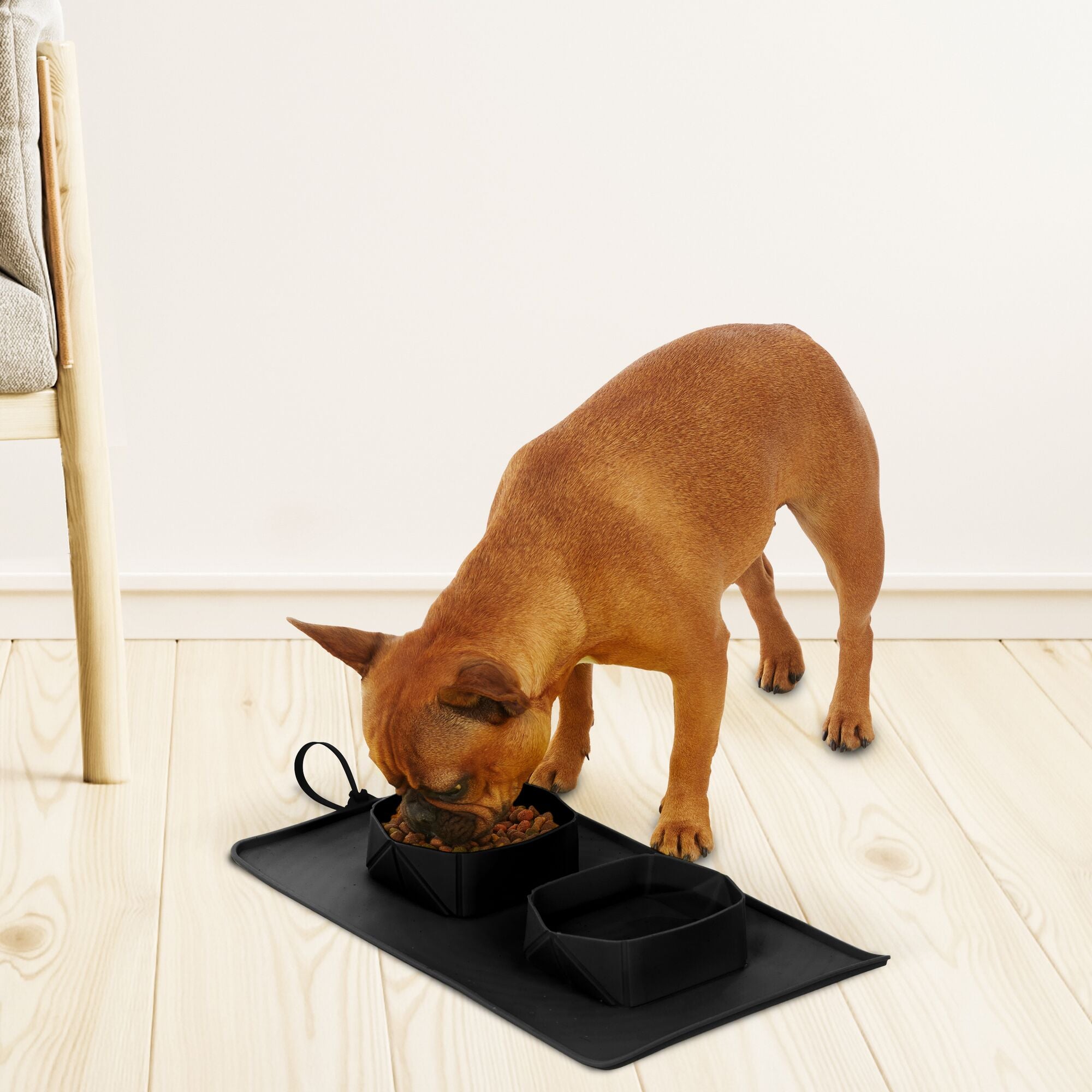 Pet Bowls and Silicone Feeding Mat Set