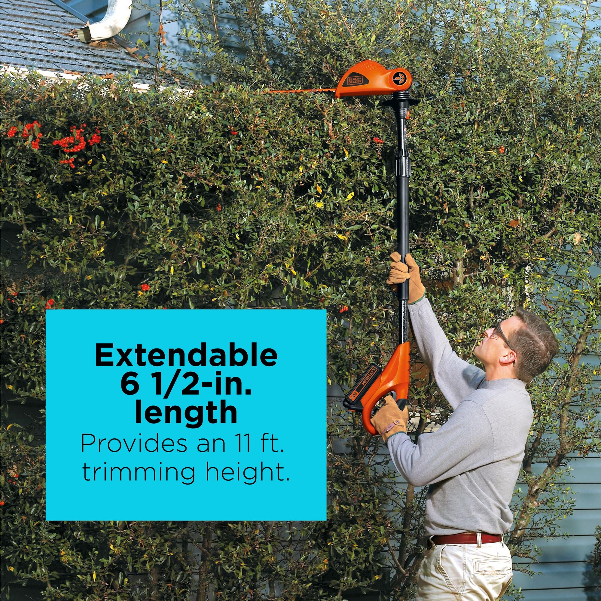 20V Max* Cordless Pole Hedge Trimmer, 18-Inch