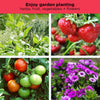 raised garden bed