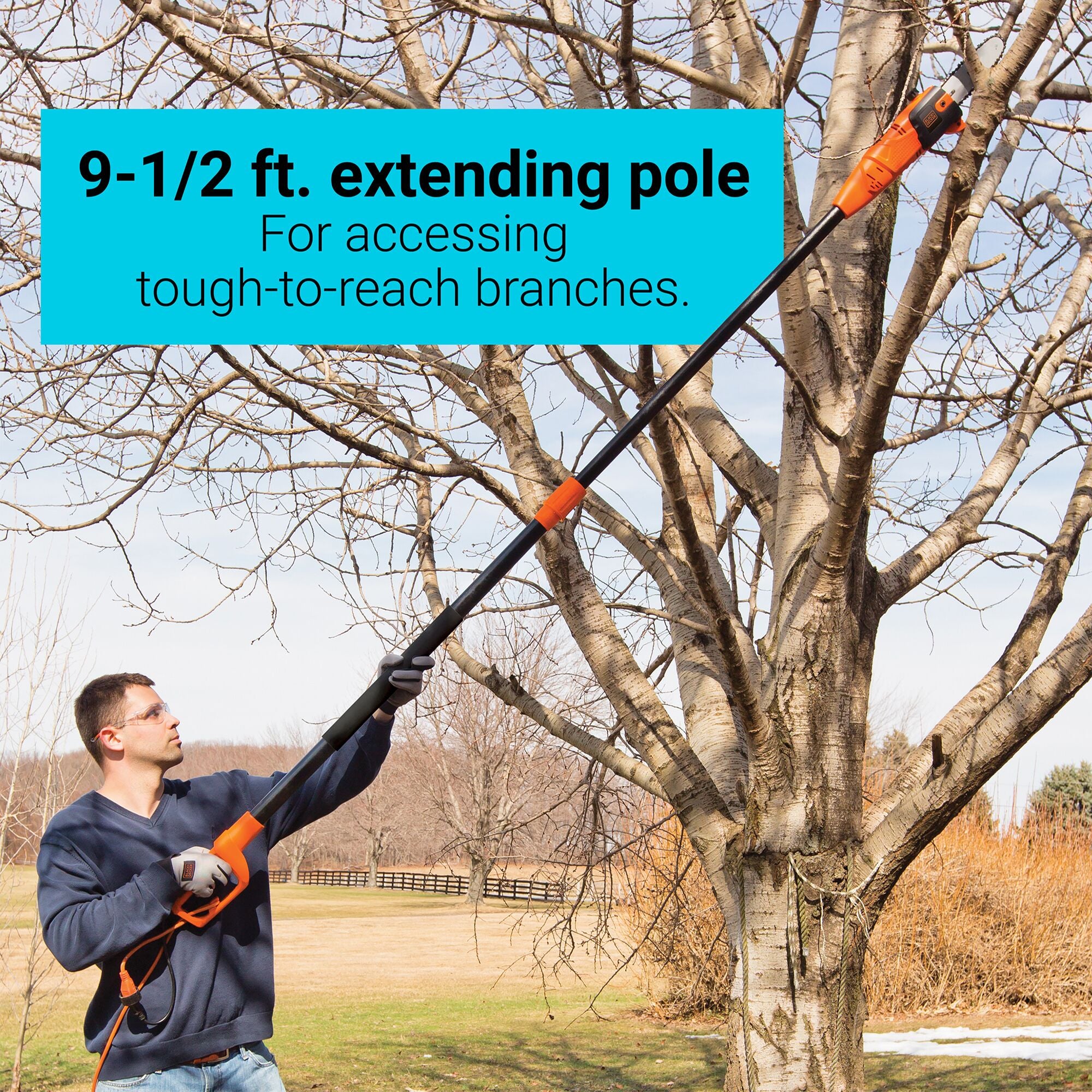 6.5 AMP 9 and half foot Pole Saw being used by a person on a tree branch.