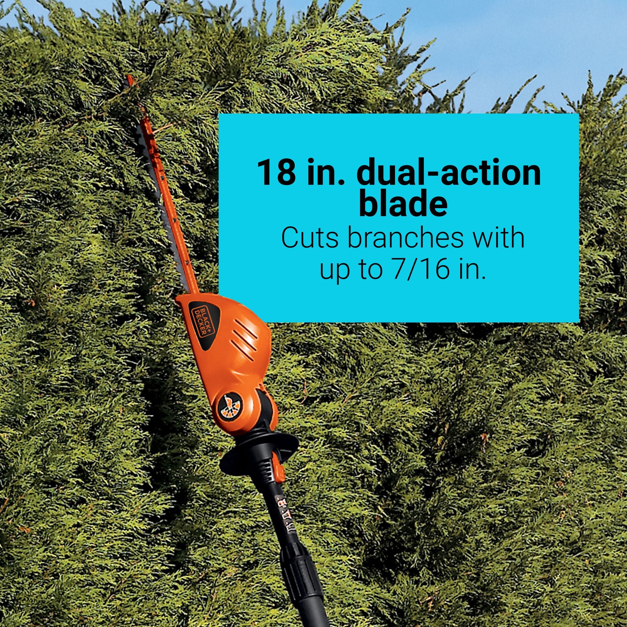 A person cuts high growth with the BLACK+DECKER 20V MAX* POWERCONNECT™ 18-in. Cordless Pole Hedge Trimmer (Tool Only). 180° degree pivoting head adjusts to 5 different positions for trimming high- or low-growing plants.