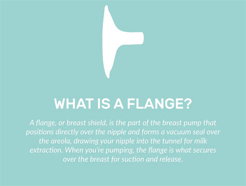 Nipple Sizer and Personalized Flange Fitting