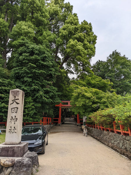 大田神社　いずれアヤメかカキツバタ |  72 patternworks（72パターンワークス）京都コラム