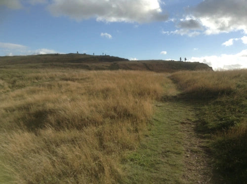 HolyroodPark エジンバラの路線バス line 36 |  72 patternworks（72パターンワークス）トラベルコラム