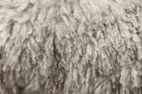more amoure wool material
