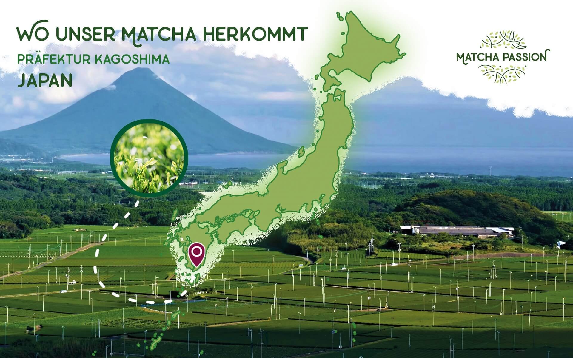 Herkunft Matcha Kagoshima Japan Anbau Verarbeitung Matcha Passion 1920x1200