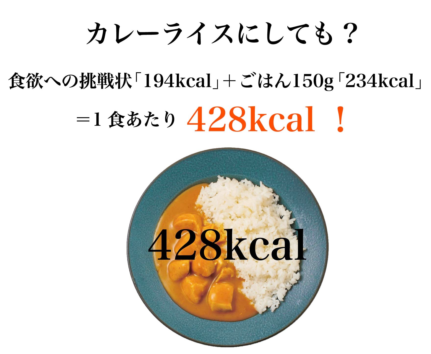 食欲への挑戦状ダイエットカレー