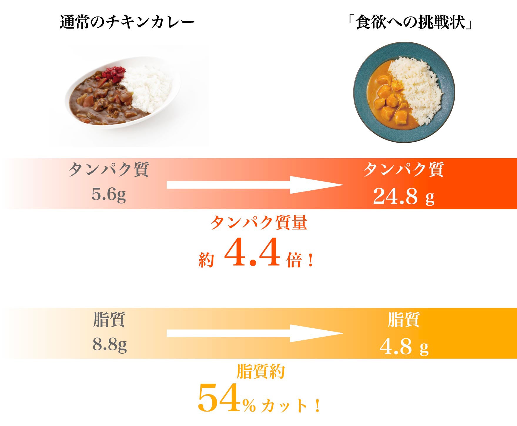 食欲への挑戦状ダイエットカレー