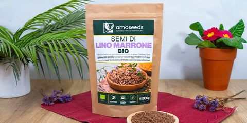 semi lino Amoseeds specialisti superalimenti bio