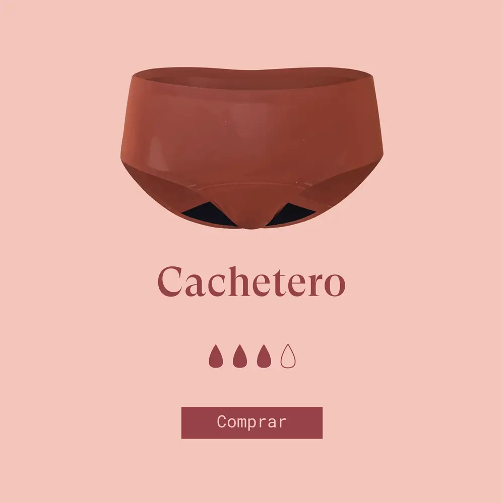 cachetero.webp__PID:815498bd-9b00-4380-9e22-4a72e88b2356