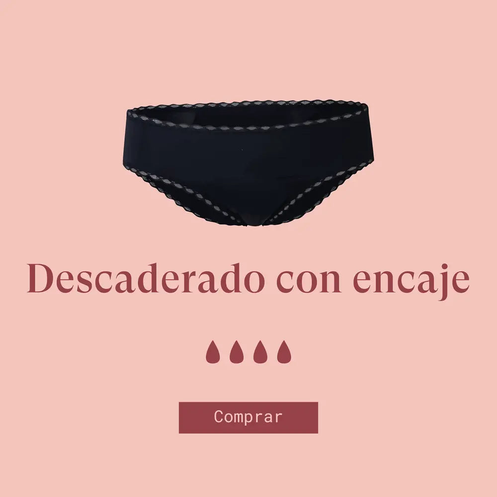 encaje.webp__PID:672277c5-bc6a-4eed-9ecf-6e57facf53d0