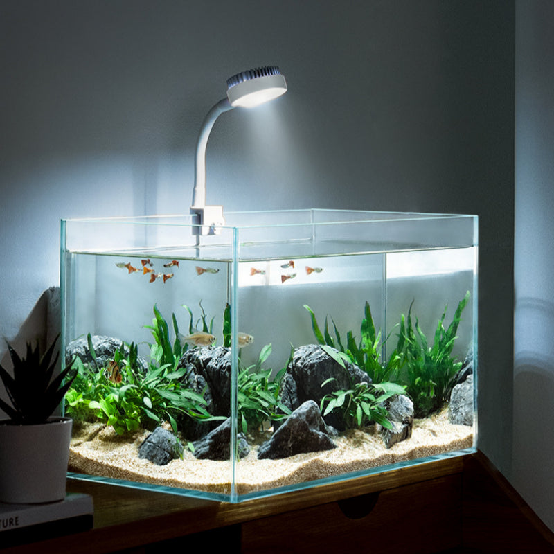 small aquarium plant light