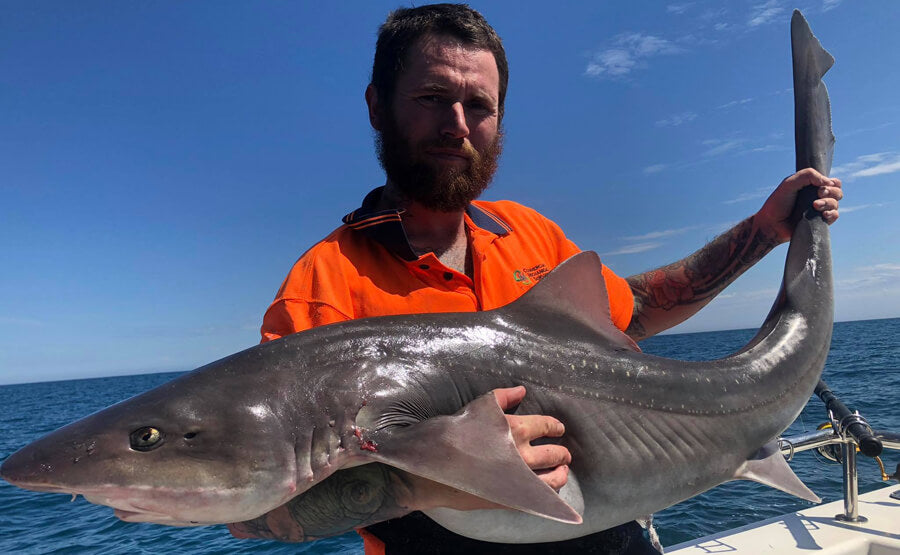 Catch Photo Catch Photo