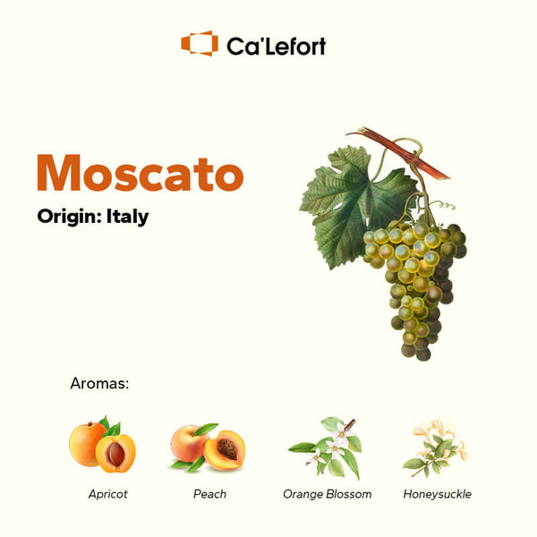 moscato