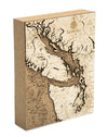 Picture of Salish Sea Cork Map, 8" x 10"