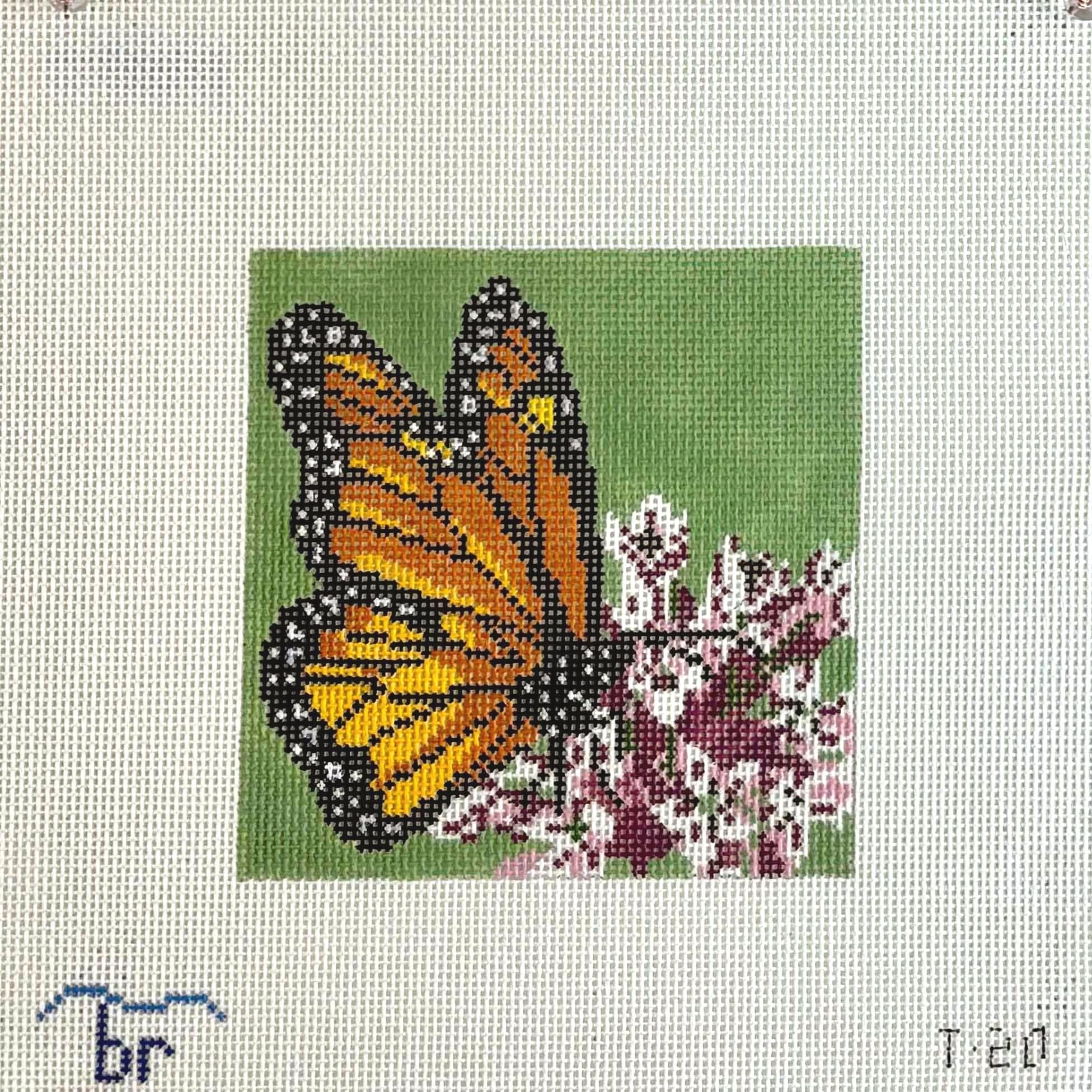T20 Monarch on Milkweed - TS