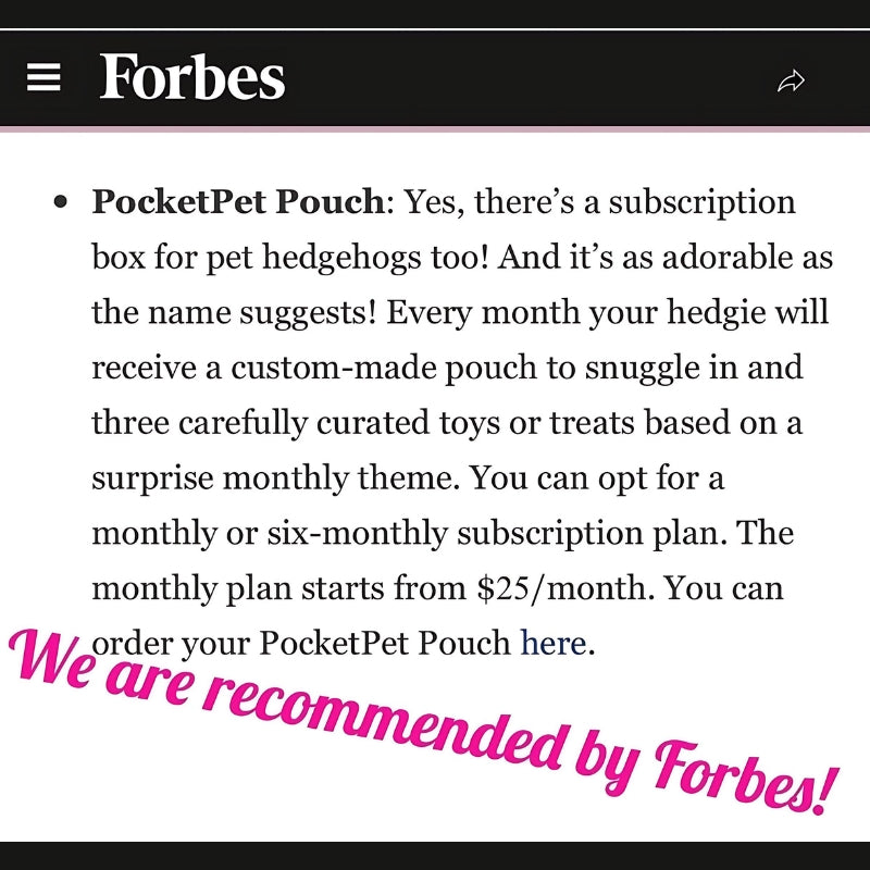 forbes pocket pet pouch