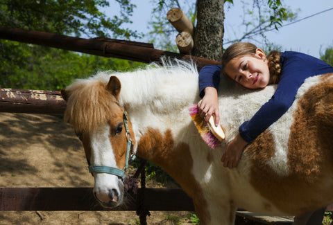 Young girl smiling and laying over top of horse with a brush 
