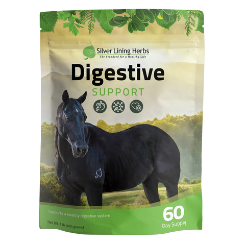 Equine colic and digestive support product