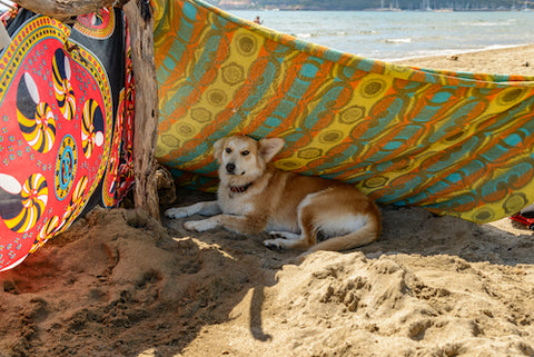 A dog resting underneath blankets propped up on the sand of a beach