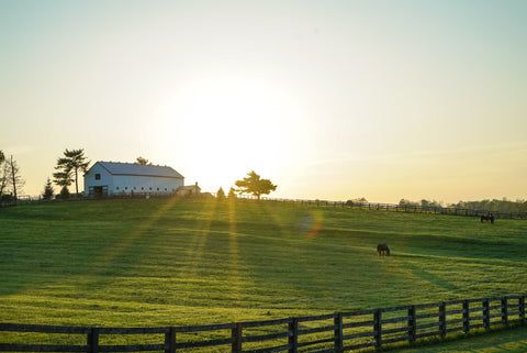 Exterior of a barn in sunlight with grass hill in the foreground