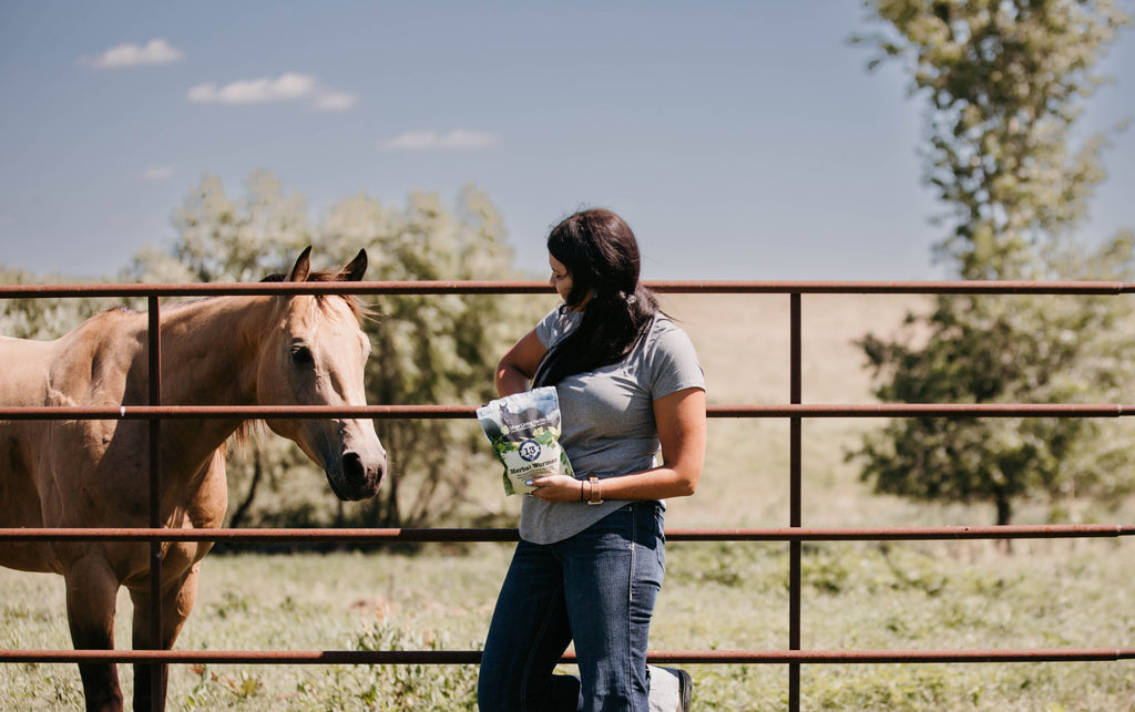 Woman feeding horse Herbal Wormer herb and food