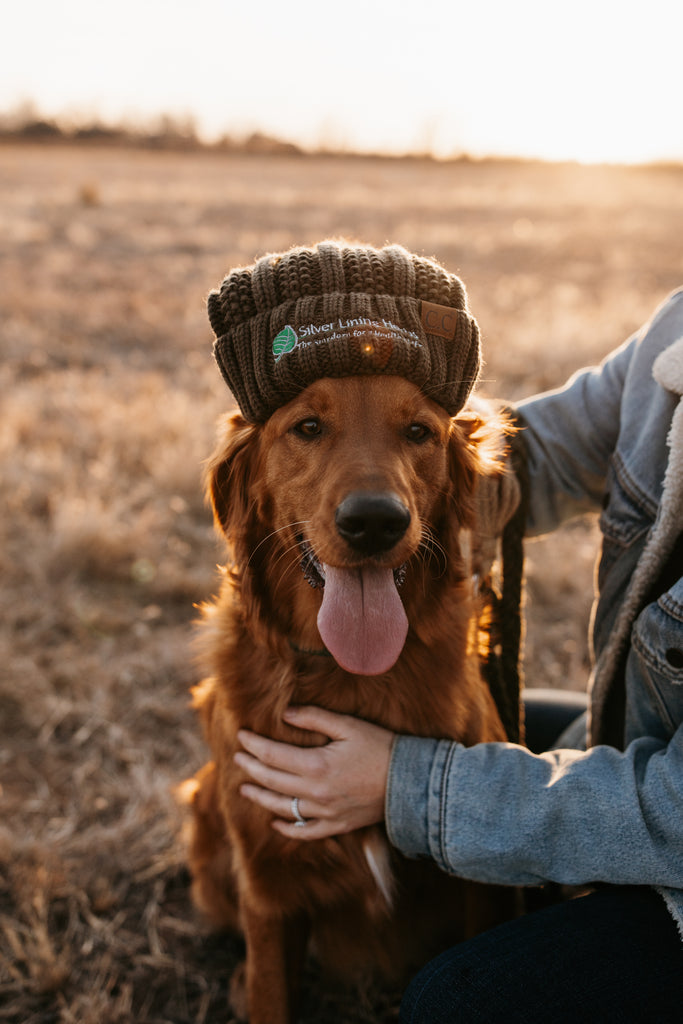 Happy dog wearing hat and with owner