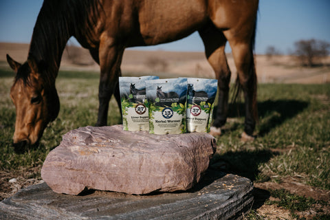 Horse grazing by Silver Lining Herbs detox packaged products
